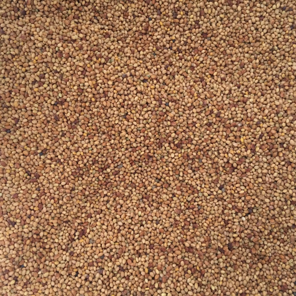 Red Clover Cover Crop Seed Concentrates, Inc.